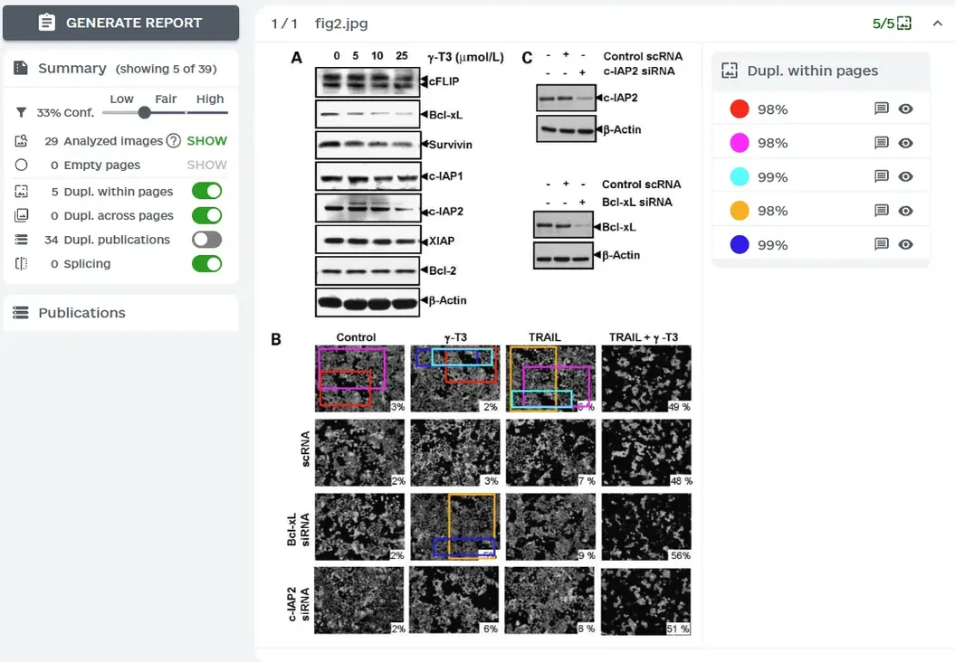 ImageTwin图片查重检测界面演示